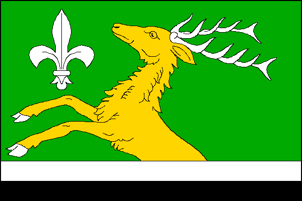 city flag