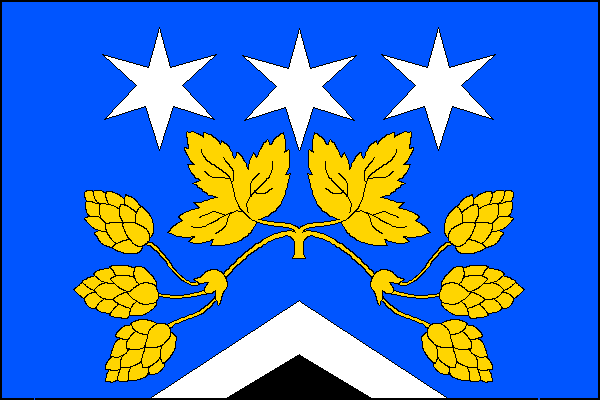 city flag
