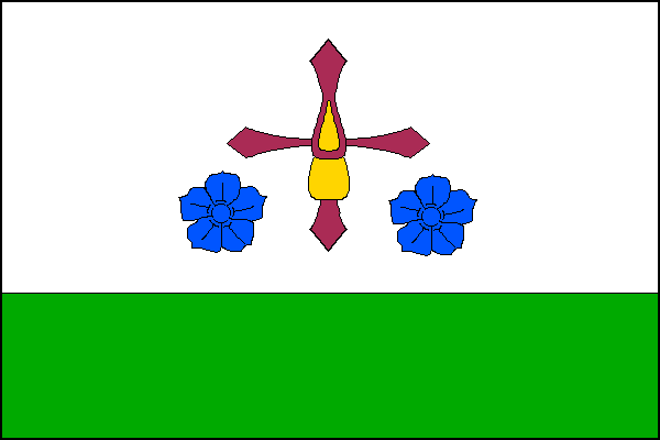 city flag