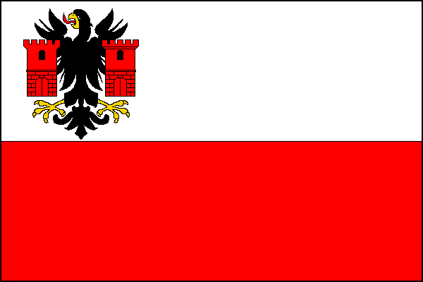 city flag