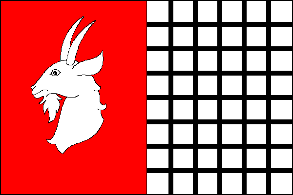 city flag