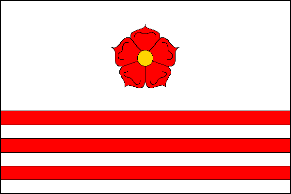 city flag