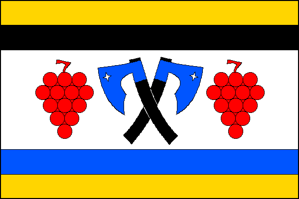city flag