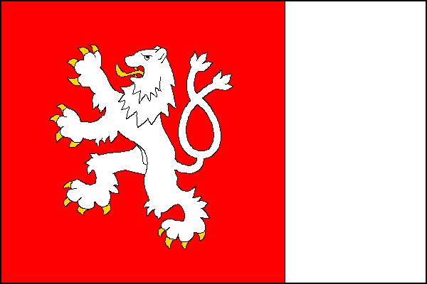 city flag