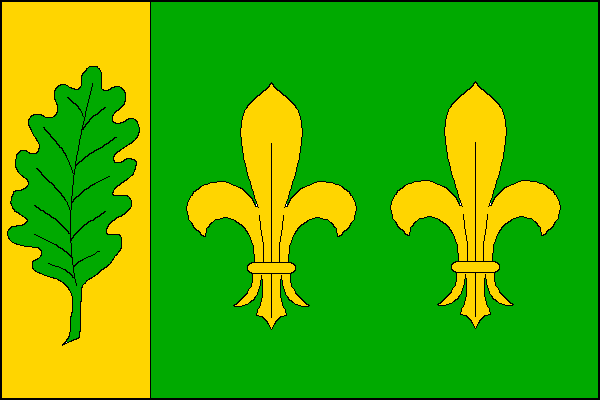 city flag