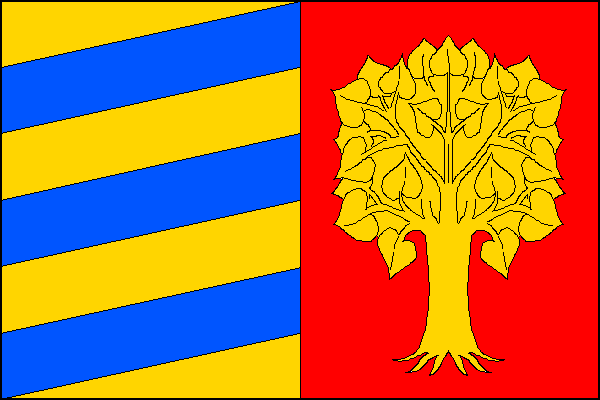 city flag