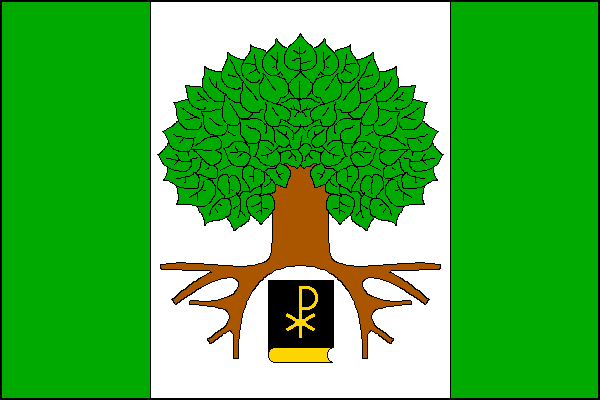 city flag