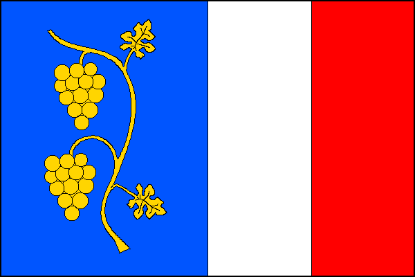 city flag