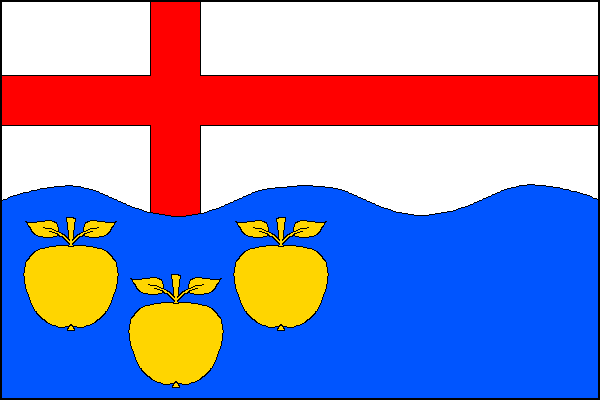 city flag