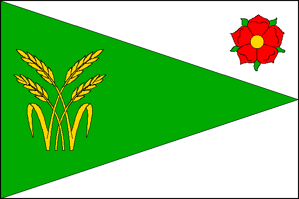 city flag