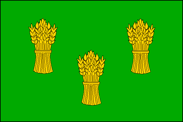 city flag
