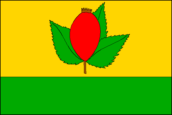 city flag