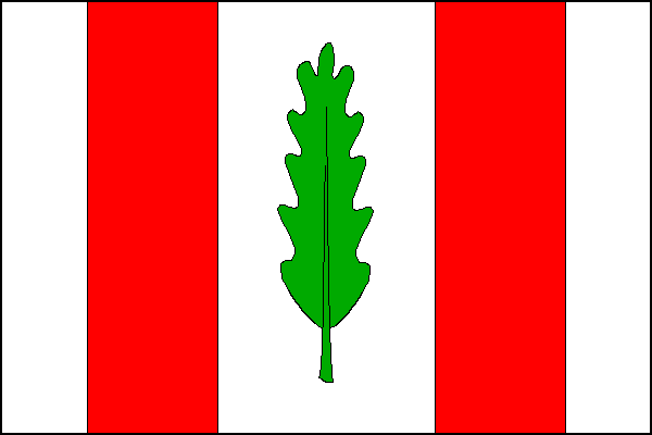 city flag
