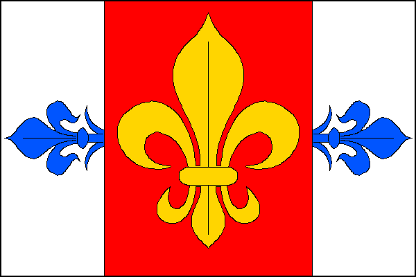 city flag