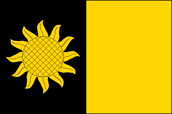 city flag