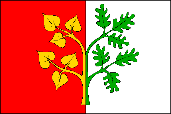 city flag