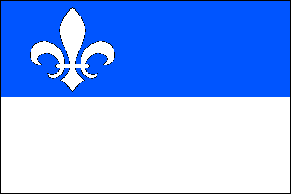 city flag