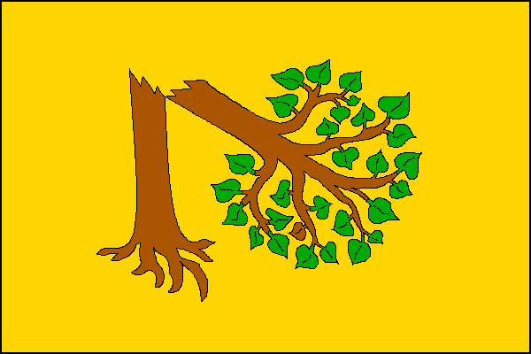 city flag