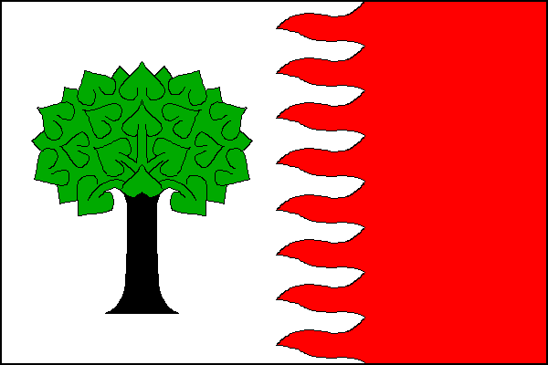 city flag