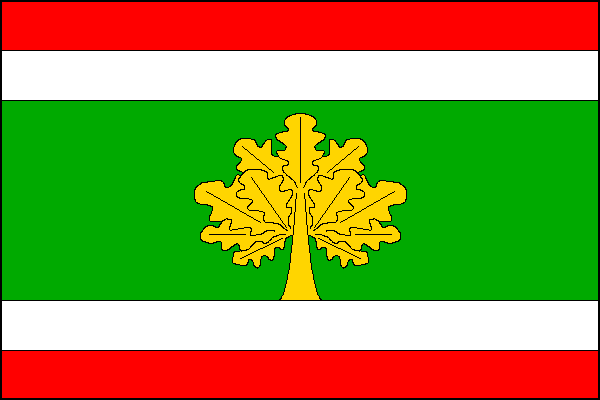city flag
