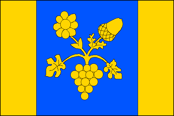 city flag